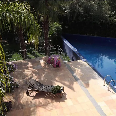 Villa Palm Garden Erétria